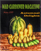 27th Apr 2013 - mad gardener