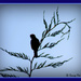 Bird in the treetop by vernabeth