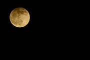 25th Apr 2013 - Full Moon