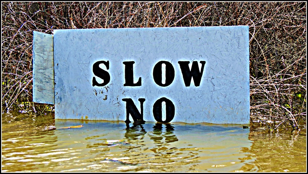 Slow No . . . by juliedduncan