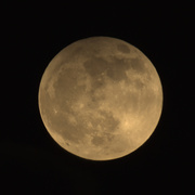 25th Apr 2013 - Moon