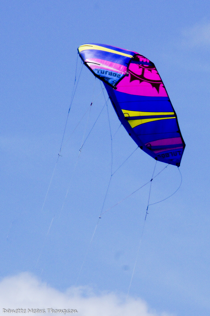 Kite at the beach by danette