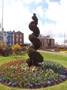 27th Apr 2013 - Topiary?