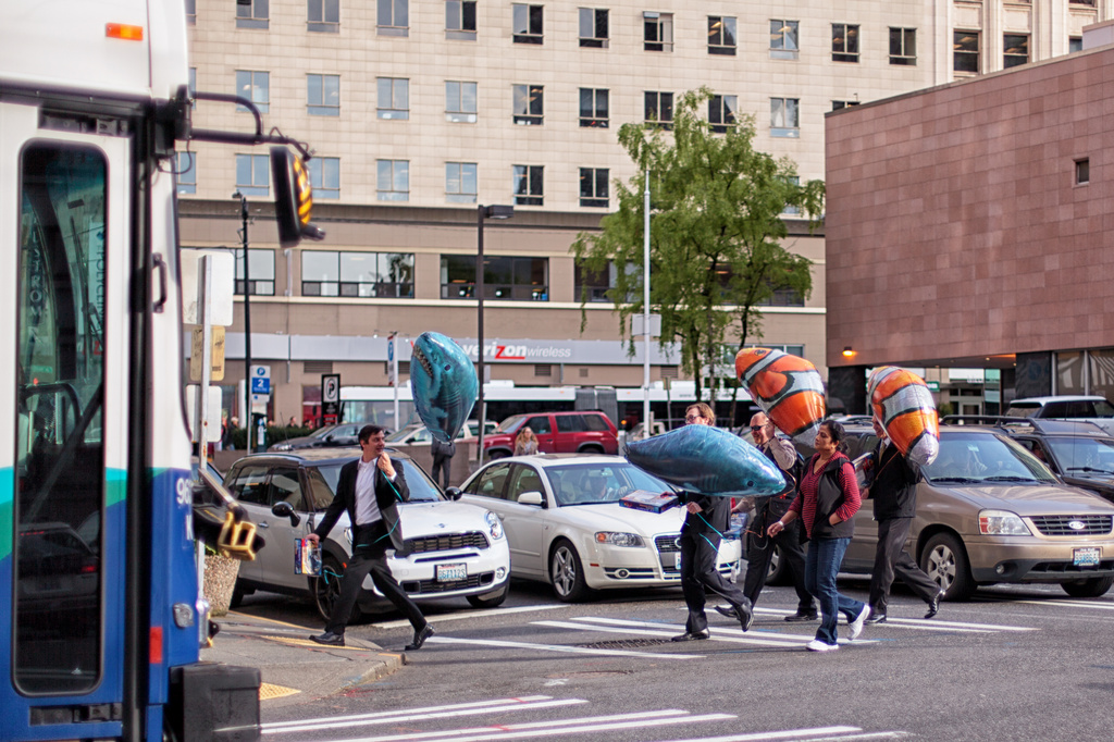 Sharks Vs Clownfish by seattle