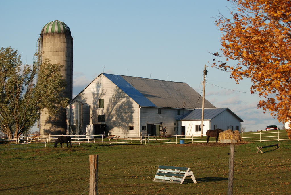 Another Majestic Glengarry Barn by farmreporter