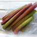 first rhubarb from Dad by sarah19