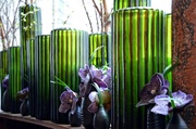 26th Apr 2013 - Vases & orquídeas