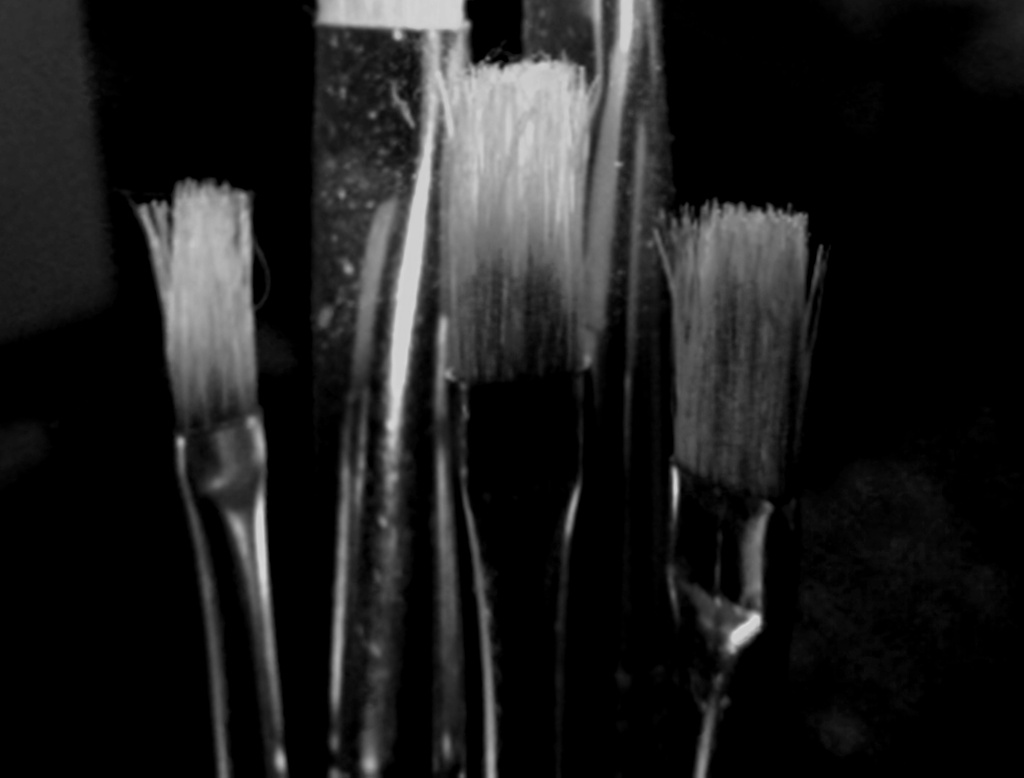Old Paint Brushes by lizzybean