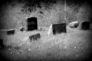 28th Apr 2013 - Creepy cemetery....