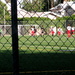 Shooting Soccer Players by pasadenarose