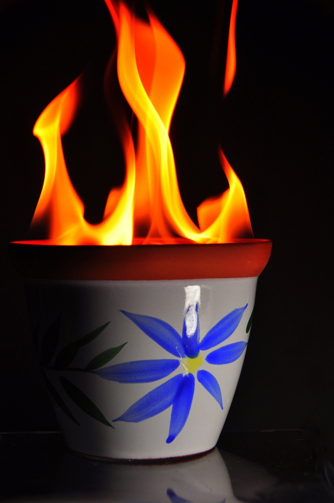 Cup of Fire by jayberg