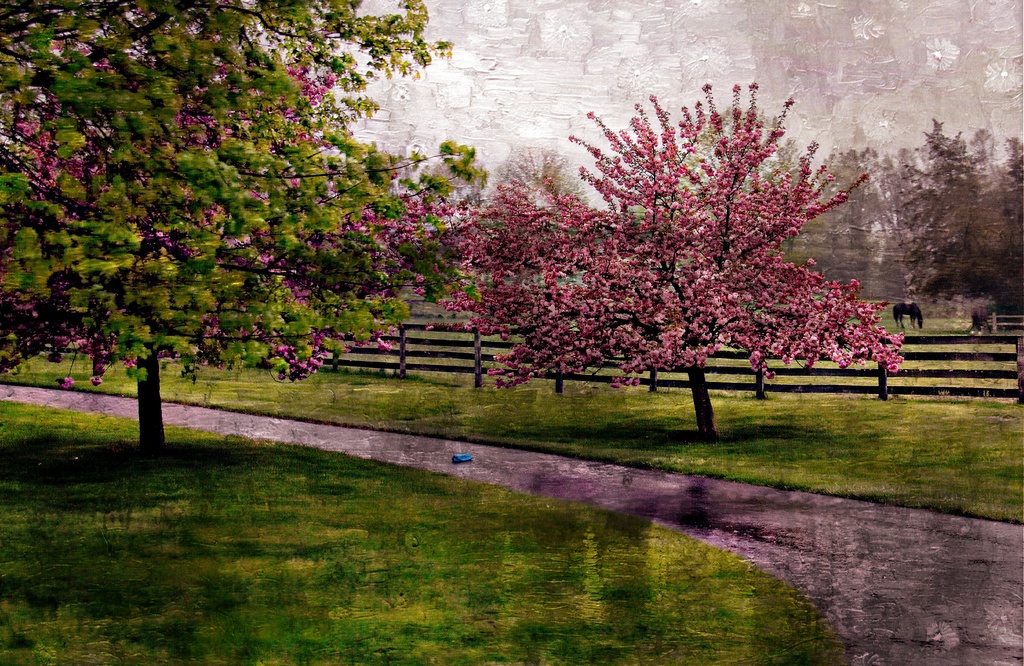 Spring's Beauty In Oil by digitalrn