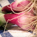 Farmer's Market Onions by pasadenarose