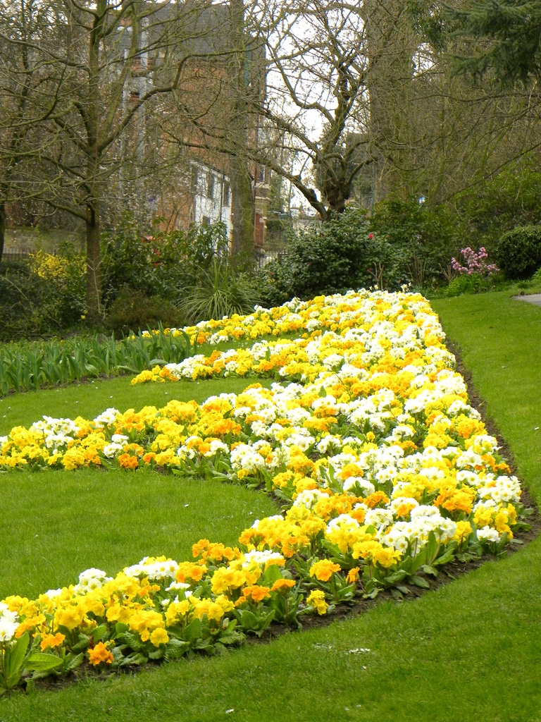 Nottingham Arboretum  by oldjosh