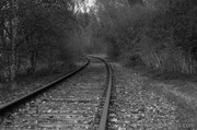 30th Apr 2013 - End of the line