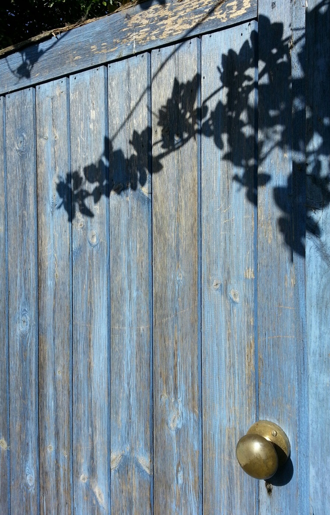 Blue Door by philr