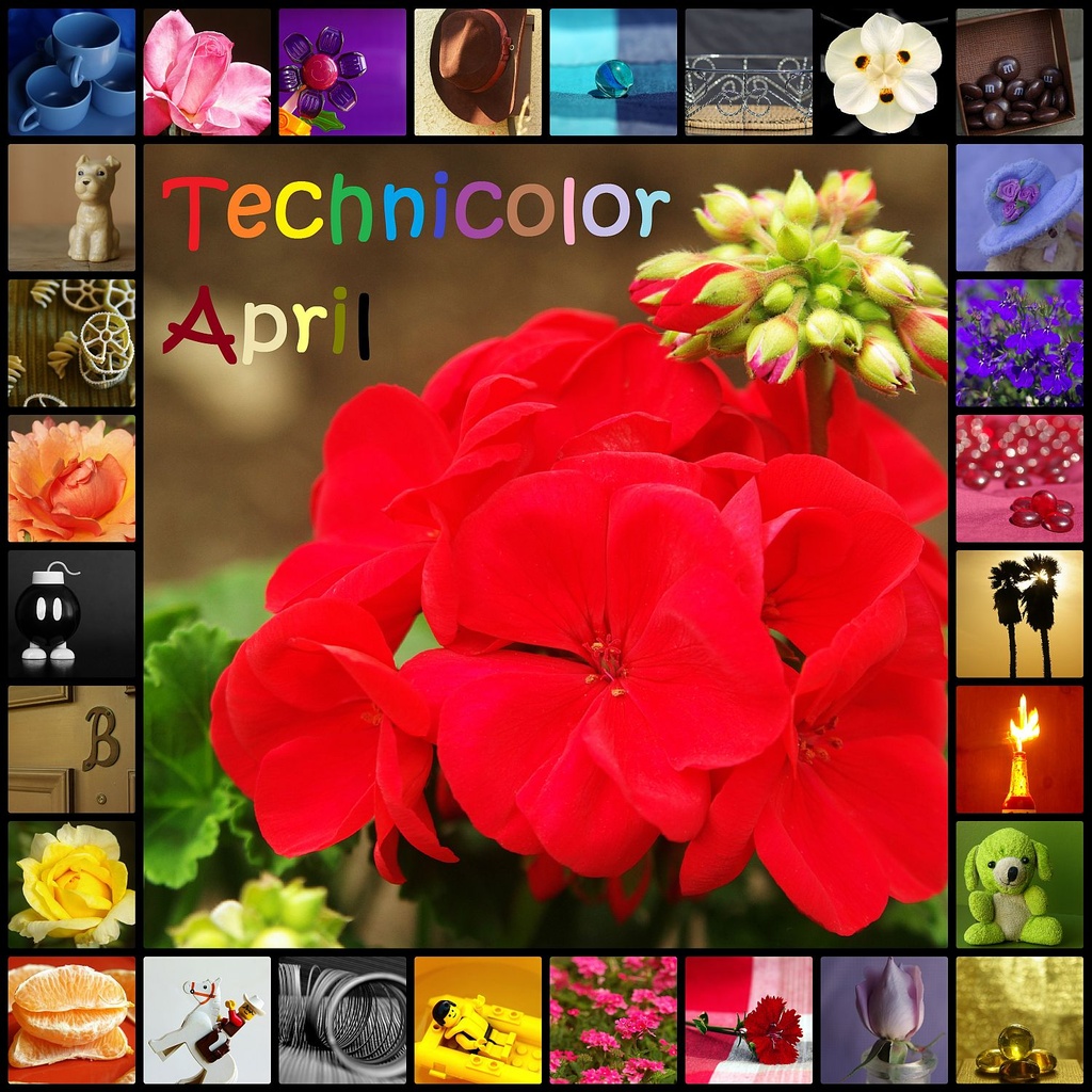 (Day 76) - Technicolor April – Rainbow Collage by cjphoto