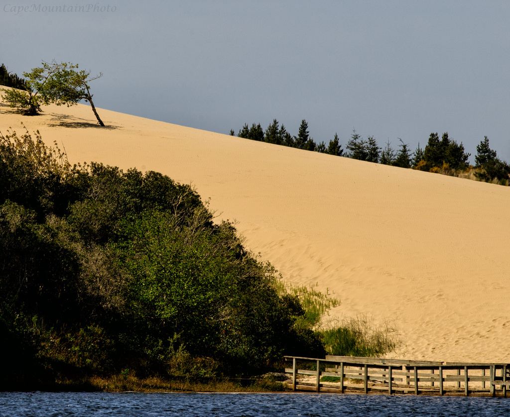 No One On the Dunes Yet  by jgpittenger