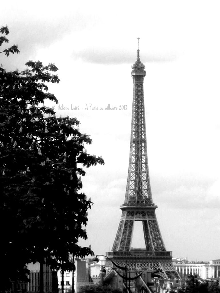 Eiffel tower from boulevard Pasteur #1 by parisouailleurs