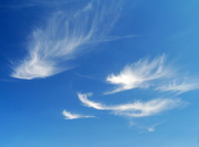 2nd May 2013 - Floating feathers in the sky