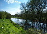 2nd May 2013 - River Nadder Salisbury week 17 02-5