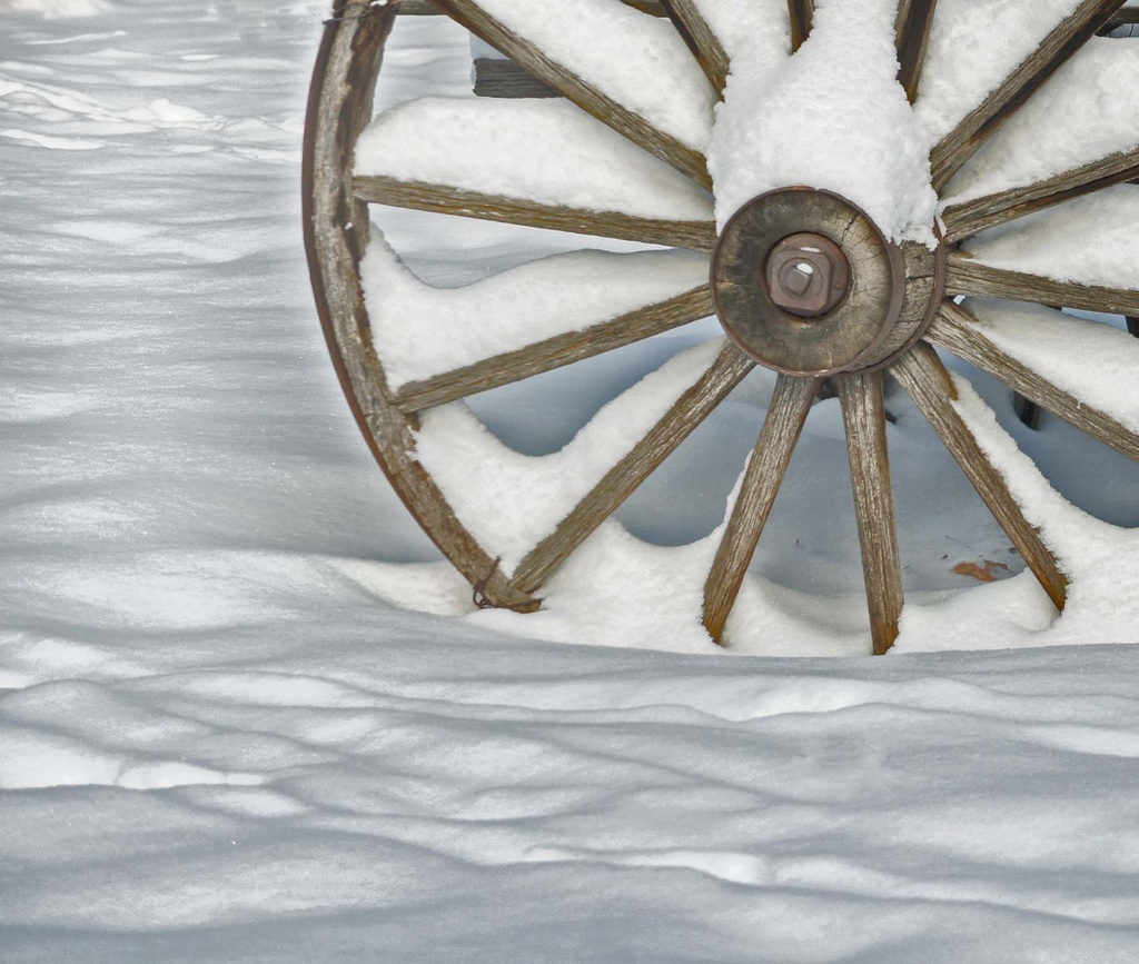 wheel of snow by dmdfday