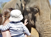 2nd May 2013 - Victoria and Ollie with the elephant....
