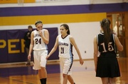 11th Feb 2013 - Sectional game