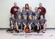 17th Feb 2013 - 3rd grade basketball team
