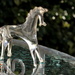 2013 05 03 Glass Horse by kwiksilver