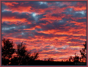 4th May 2013 - Rolleston sunrise
