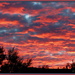 Rolleston sunrise by kiwiflora