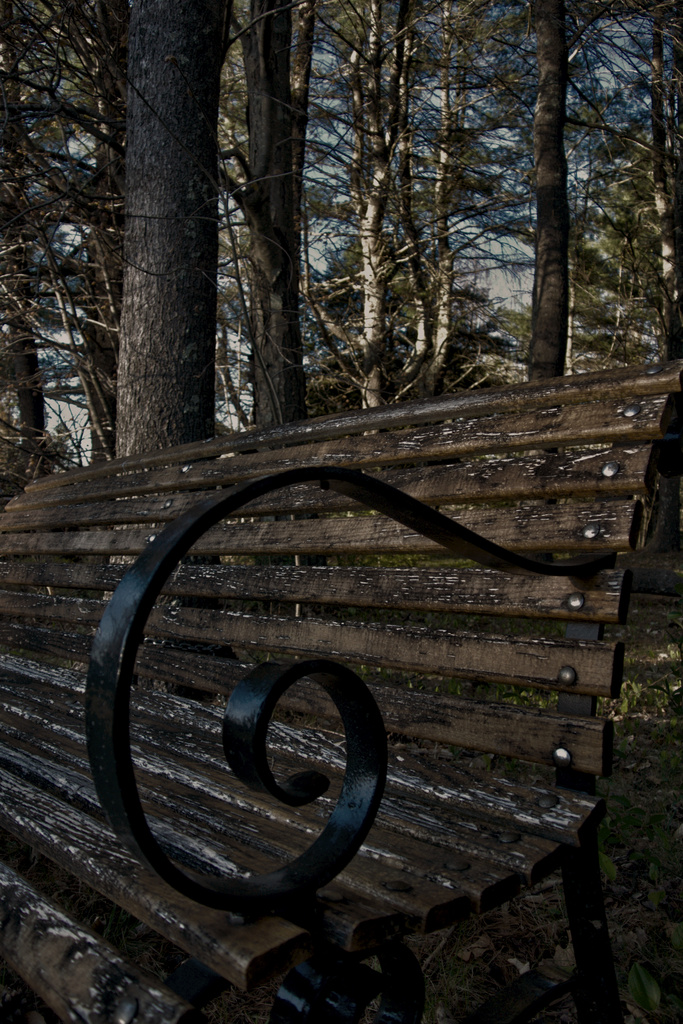 Boy Scouts or Bench by kevin365