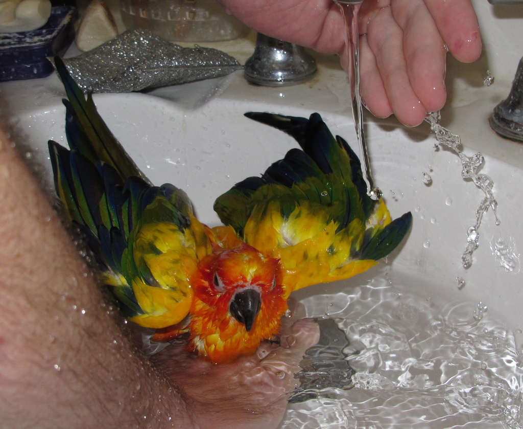 Bathtime fun  by alia_801