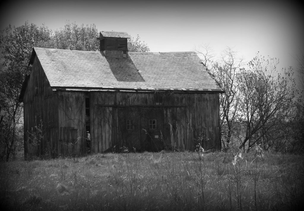 Barn 7 by mittens