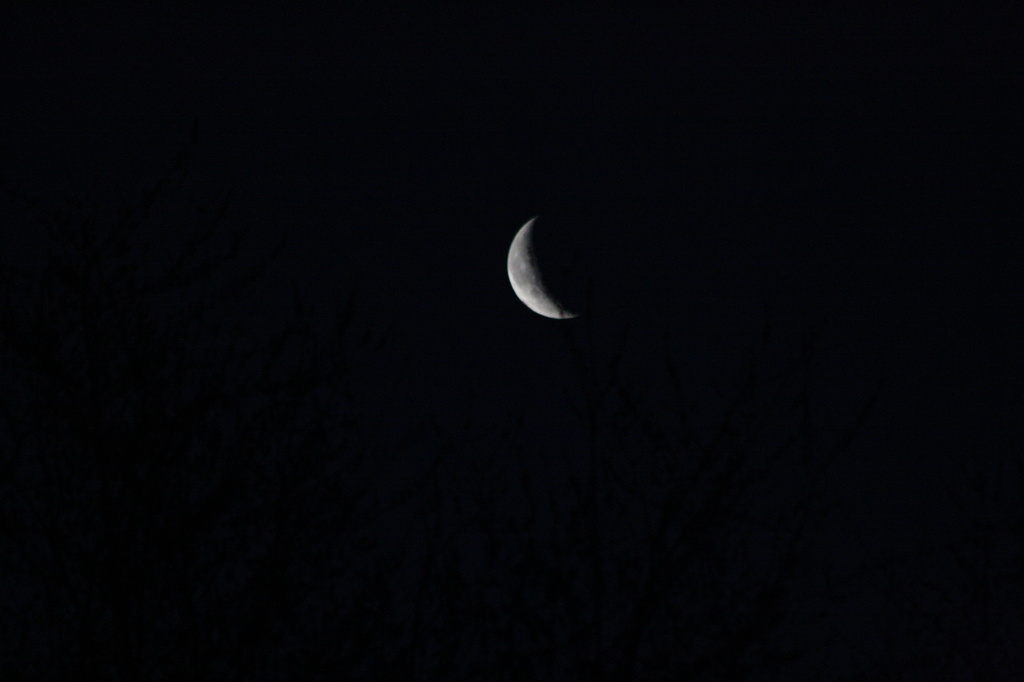 Waning Crescent Moon by bruni