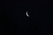 4th May 2013 - Waning Crescent Moon