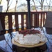 Pav on the Deck by jawere