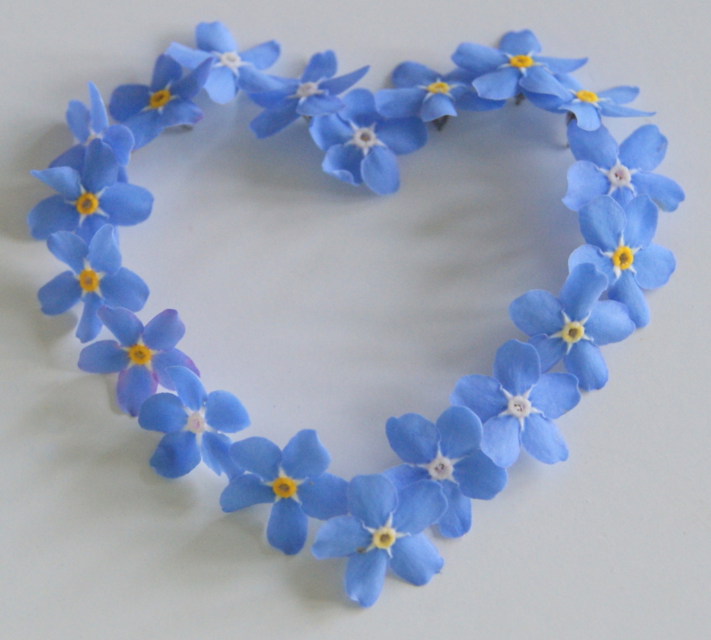I ♥ Forget-me-Nots by filsie65