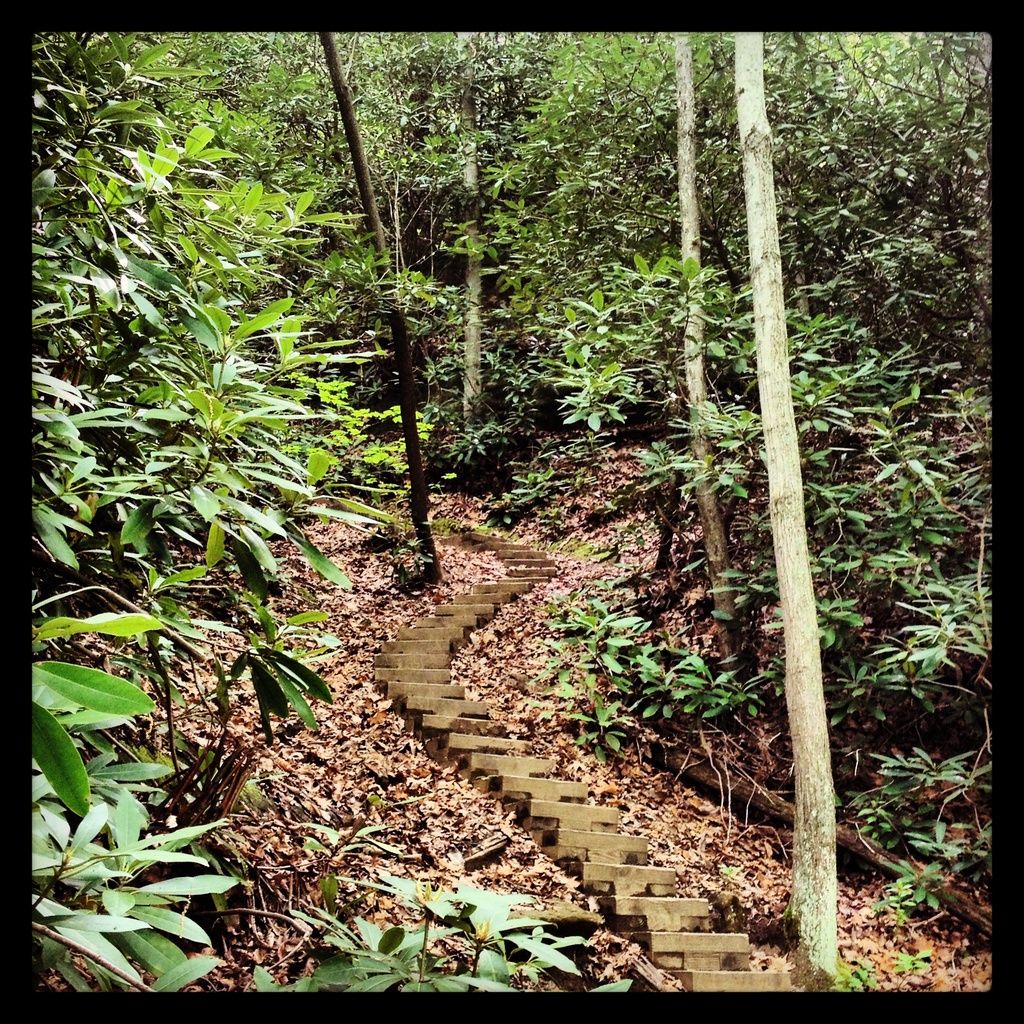 Trail 221- stairway by cassaundra
