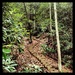 Trail 221- stairway by cassaundra