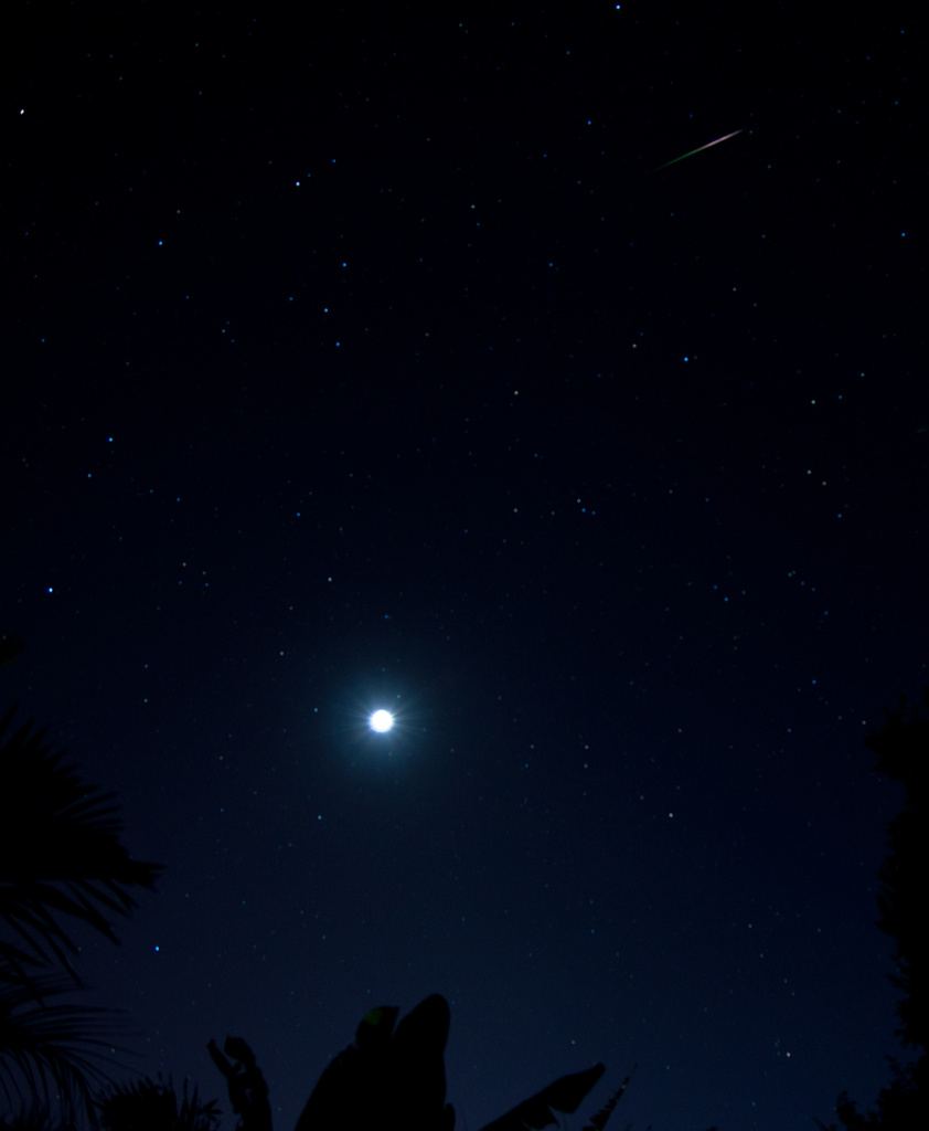 Eta Aquariids Meteor Shower by bella_ss