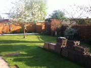 6th May 2013 - Back garden