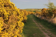 4th May 2013 - Follow the yellow edged road