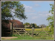 7th May 2013 - Across the fields