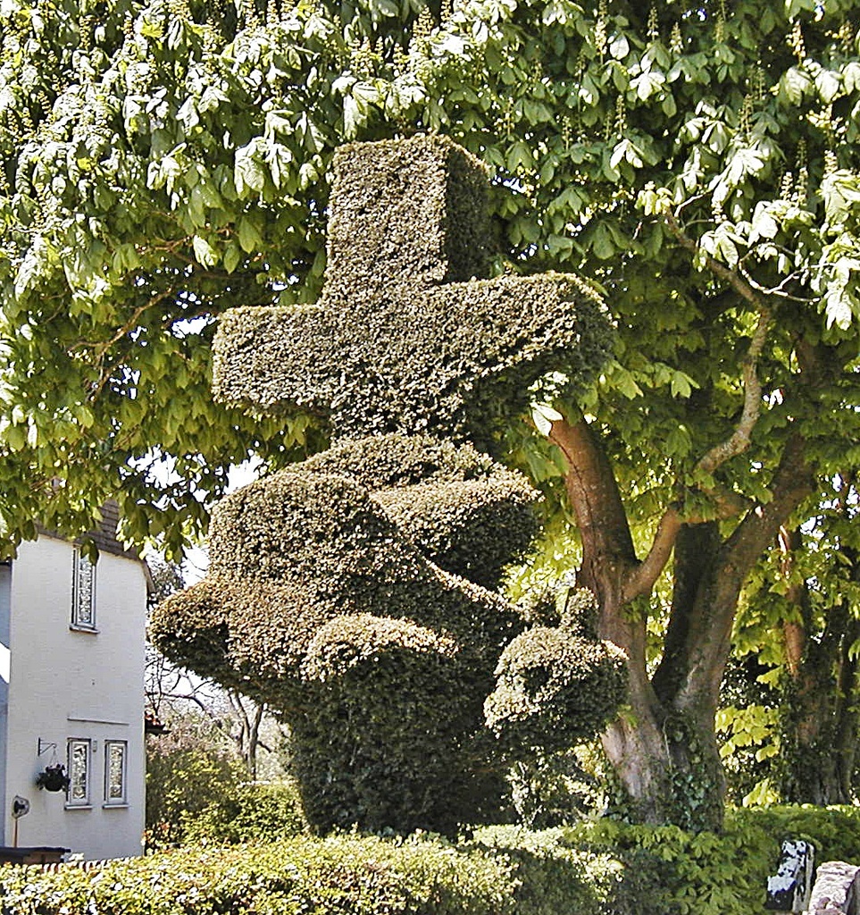 A Cross Dragon - Topiary at it's best. by ladymagpie