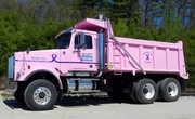 7th May 2013 - Haulin For A Cure!