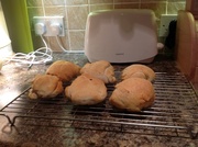 7th May 2013 - Homemade garlic and cheese bread rolls.