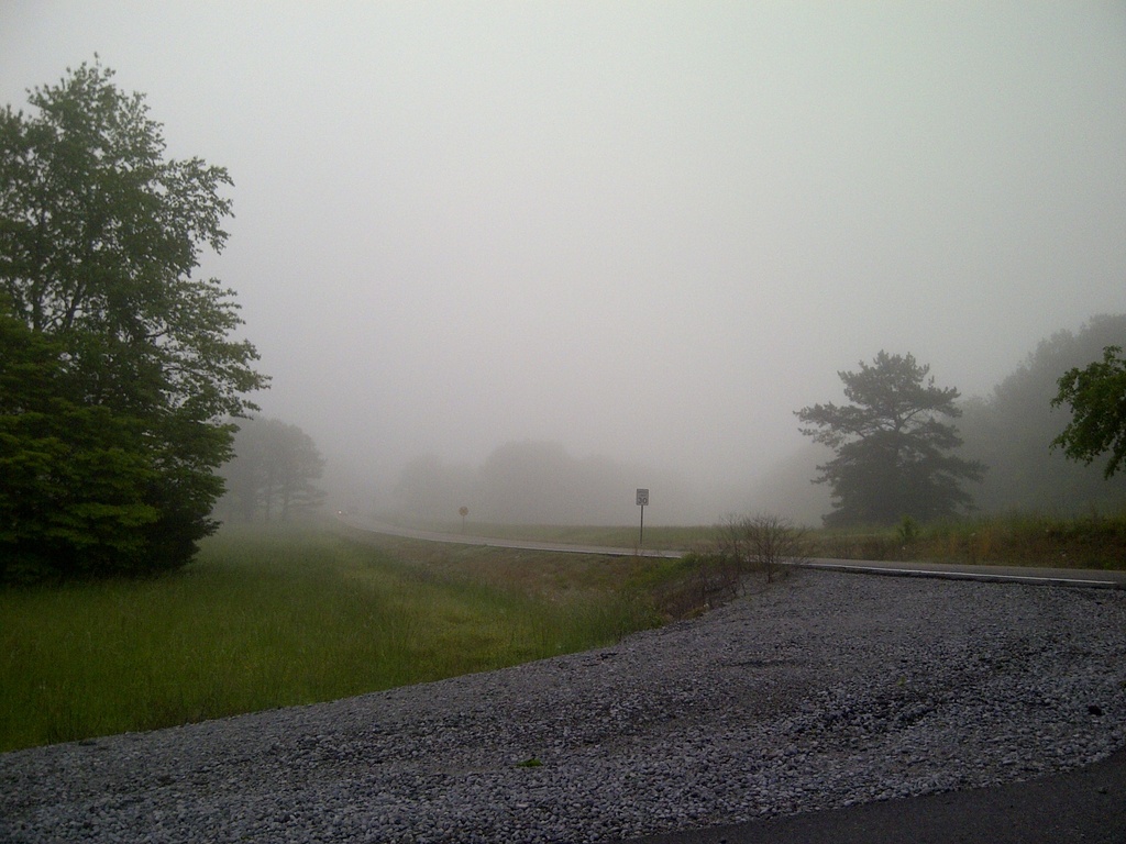 Foggy Day by awalker