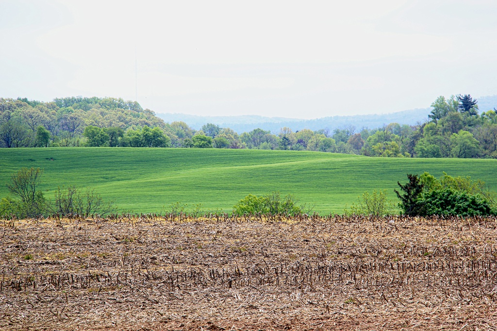 Rolling Hills by digitalrn